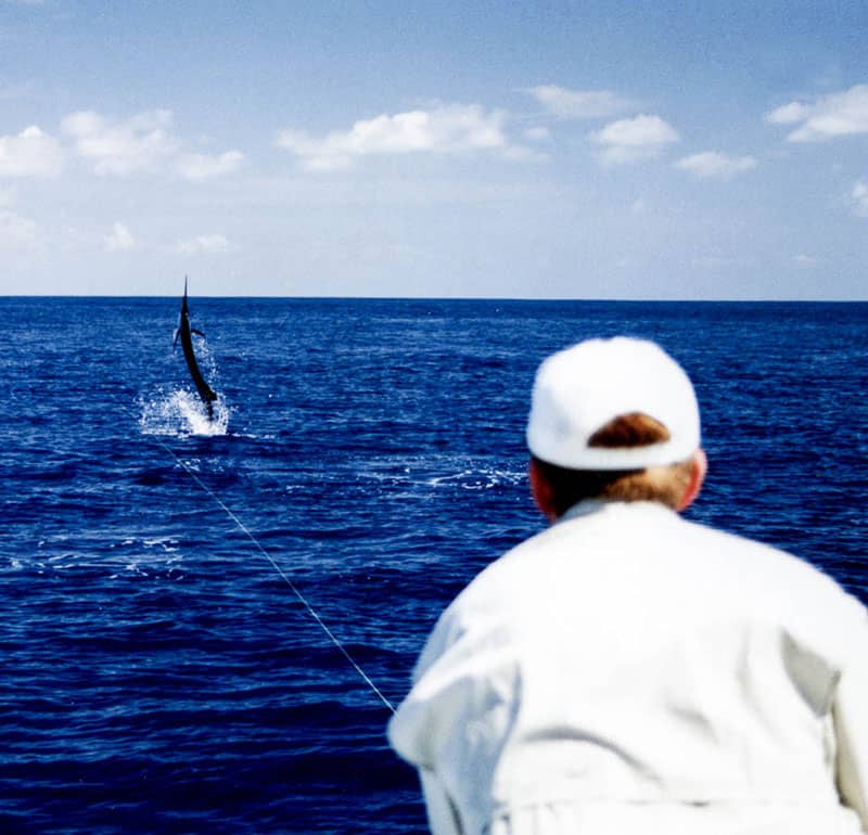 Fishing for Marlin on Fly | Tico Travel