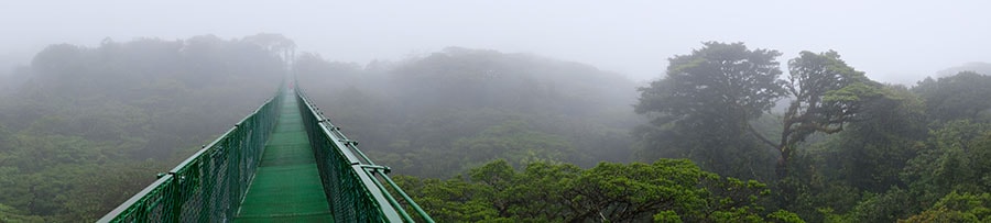 Monteverde Information and Hotels | Tico Travel