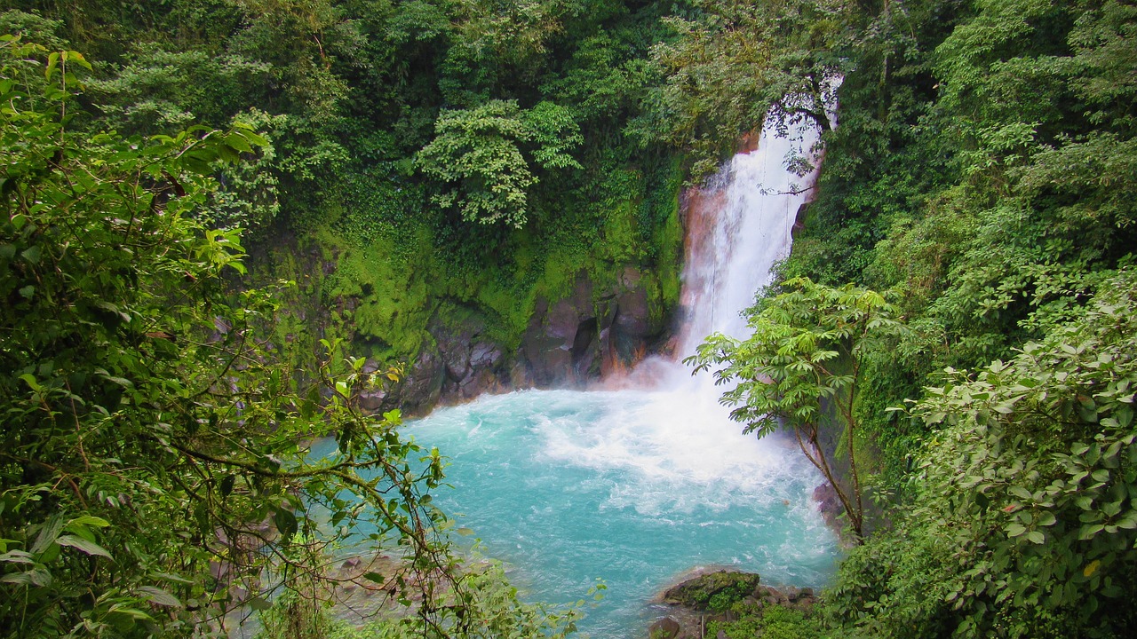 Rio Celeste waterfall pouring into a turquoise pool in Tenorio Volcano National Park, Costa Rica